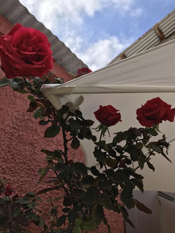 Hostal Avenue La Serena Dış mekan fotoğraf
